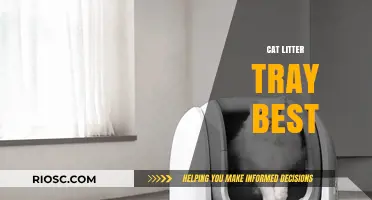 Top Picks for the Best Cat Litter Tray: Comfort, Convenience, and Cleanliness