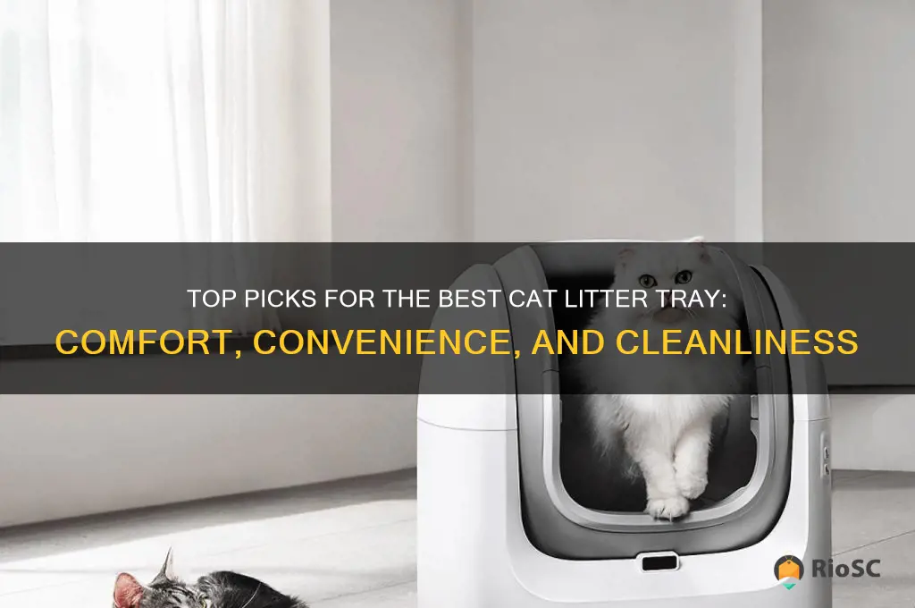 cat litter tray best