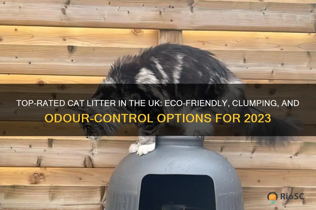 cat litter uk best