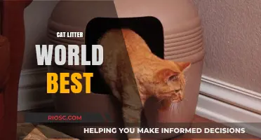 The Ultimate Guide to Choosing the World's Best Cat Litter for Your Feline Friend
