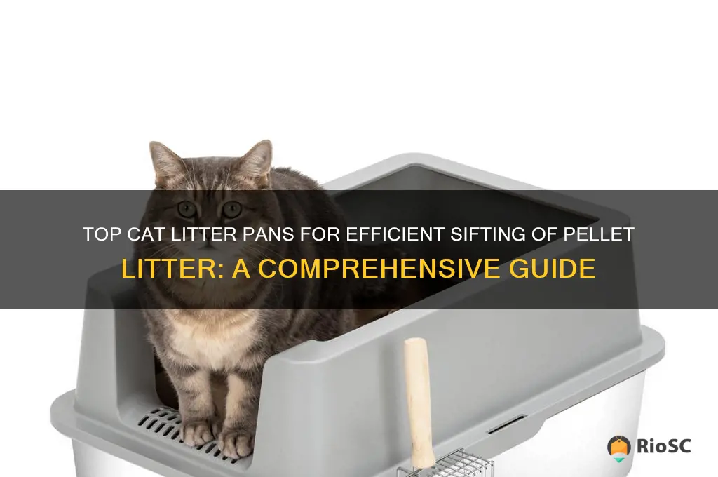 cat little pans best for sifting pellet litter