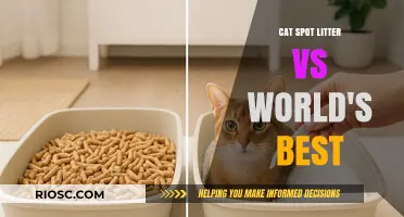 Cat Spot Litter vs World's Best: Which Premium Cat Litter Reigns Supreme?