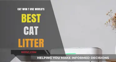 Why Your Cat Refuses to Use World's Best Cat Litter: Common Issues and Solutions
