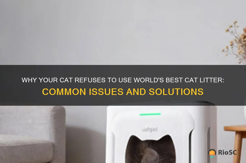 cat won t use world