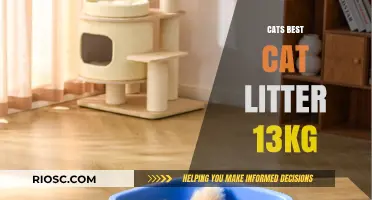 Why Cat Owners Love Cats Best Cat Litter 13kg: A Comprehensive Review
