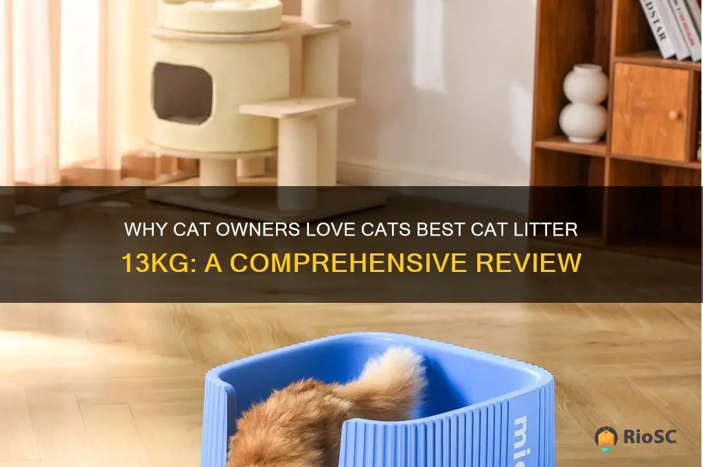 cats best cat litter 13kg