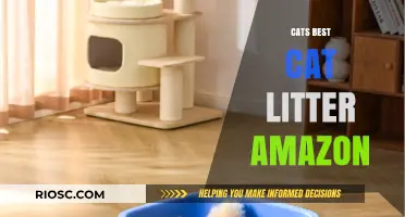 Discover the Top-Rated Cats Best Cat Litter on Amazon: Eco-Friendly, Odor-Control, and Clumping Solutions