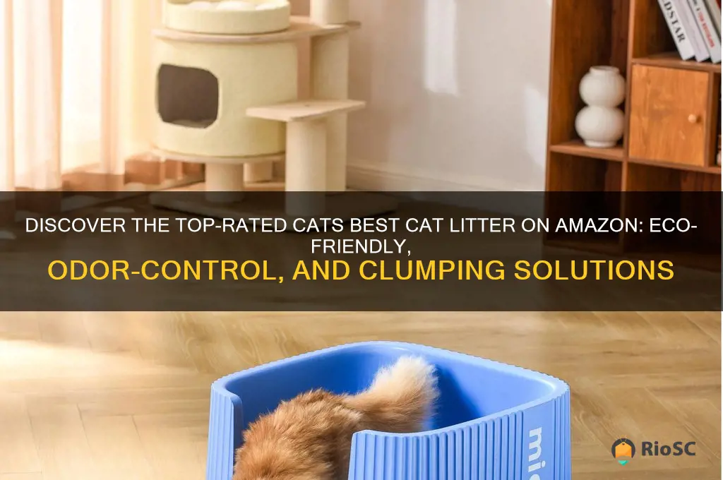 cats best cat litter amazon