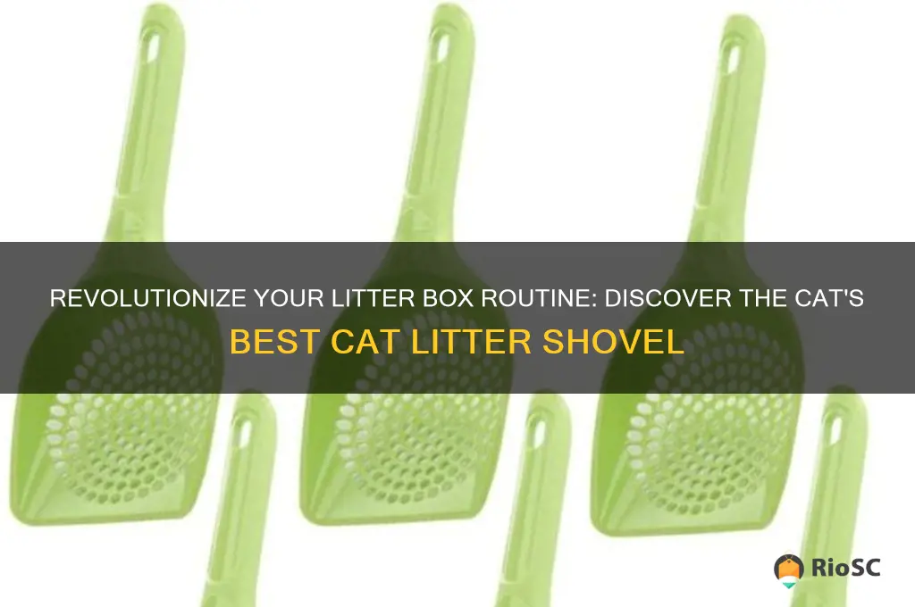 Revolutionize Your Litter Box Routine: Discover The Cat's Best Cat ... - High Maintenance Cat Litter Box Maintenance Schedule