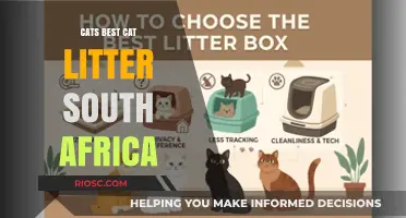 Why Cats Best Cat Litter is South Africa's Top Choice for Feline Owners
