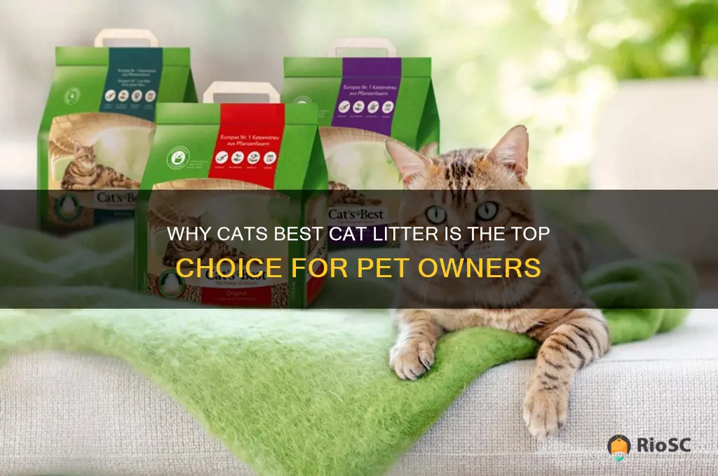cats best cat litter