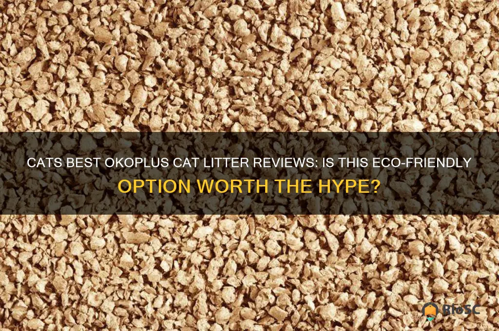 cats best okoplus cat litter reviews