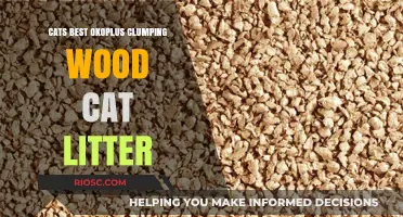 Eco-Friendly and Odor-Free: Why Cats Best Okoplus Clumping Wood Cat Litter is a Top Choice for Pet Owners