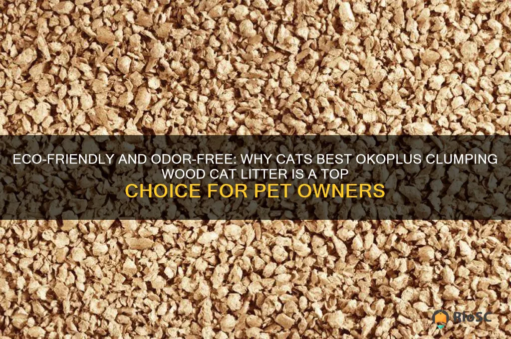 cats best okoplus clumping wood cat litter