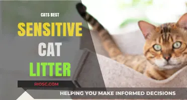 Cats Best Sensitive Cat Litter: A Gentle, Eco-Friendly Solution for Your Feline’s Needs