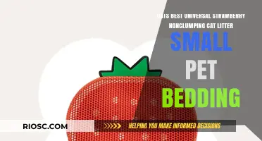Eco-Friendly Pet Care: Cats Best Universal Strawberry Non-Clumping Cat Litter for Small Pets