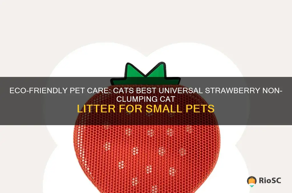 cats best universal strawberry nonclumping cat litter small pet bedding