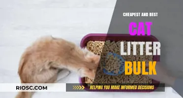 Affordable and High-Quality Cat Litter: Bulk Options for Budget-Conscious Pet Owners
