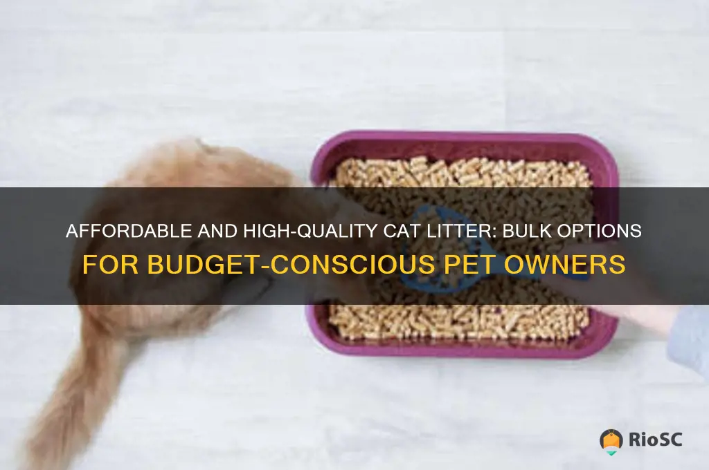 cheapest and best cat litter bulk