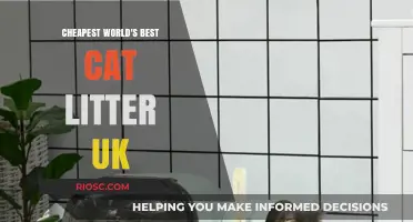 Affordable Excellence: Discover the UK's Cheapest World-Class Cat Litter Options