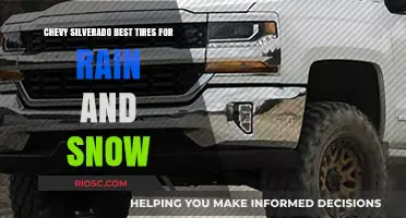 Top-Rated Tires for Chevy Silverado: Rain and Snow Performance