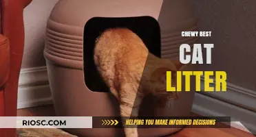 Chewy's Best Cat Litter: Top Picks for Odor Control, Clumping, and Low Dust