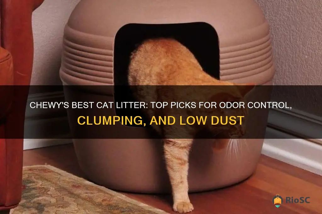 chewy best cat litter