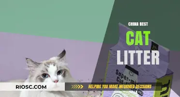 Top Picks for China's Best Cat Litter: Quality, Absorption, and Odor Control Compared