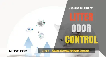 Purr-fectly Fresh: How to Choose the Best Cat Litter for Odor Control