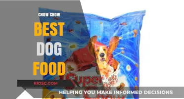 Nutritional Guide: Choosing the Best Dog Food for Your Chow Chow's Health and Happiness