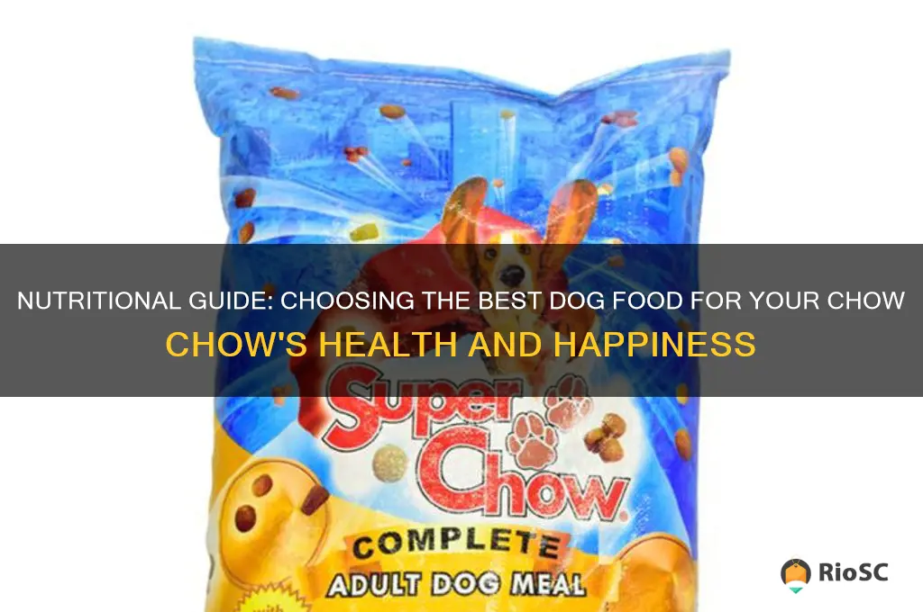 chow chow best dog food