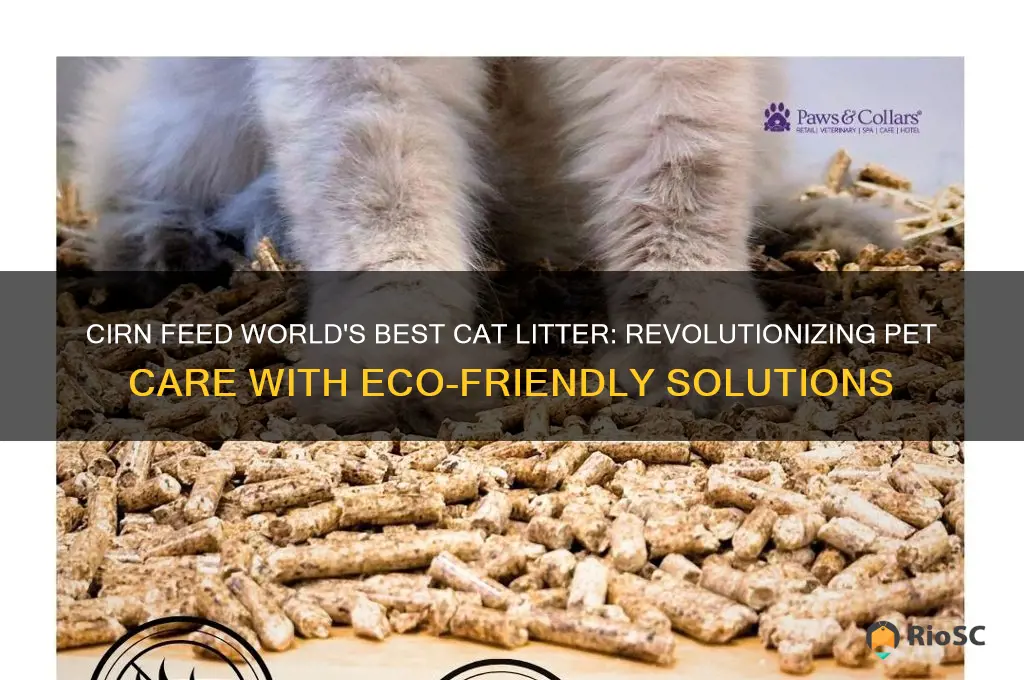 cirn feed worlds best cat litter