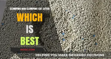 Clumping vs. Non-Clumping Cat Litter: Which Option Reigns Supreme for Your Feline Friend?