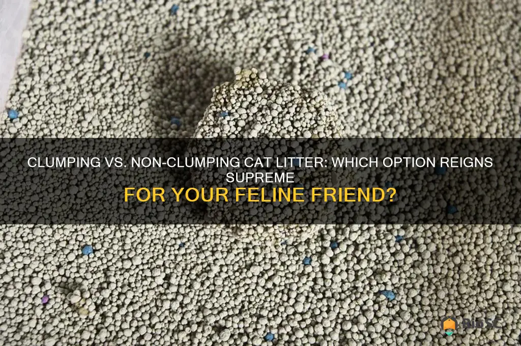clumping non clumping cat litter which is best