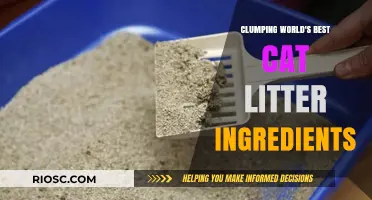 Unveiling the Secret Ingredients in World's Best Cat Litter: Why It Clumps Better