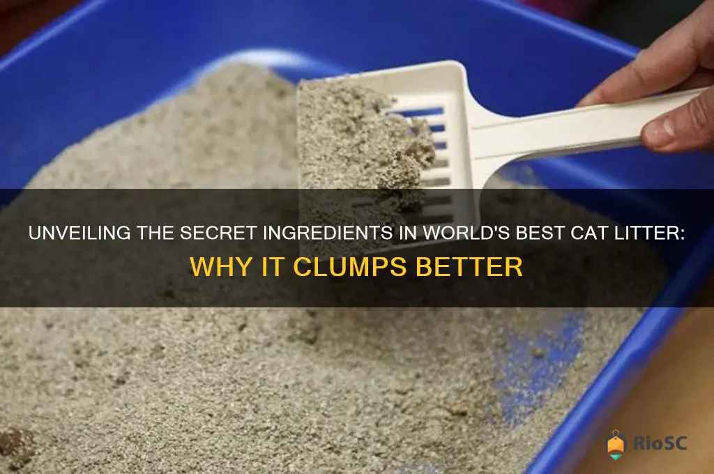 clumping world