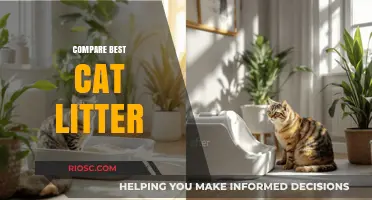 Top Cat Litter Brands Compared: Which One Offers the Best Odor Control, Clumping, and Value?