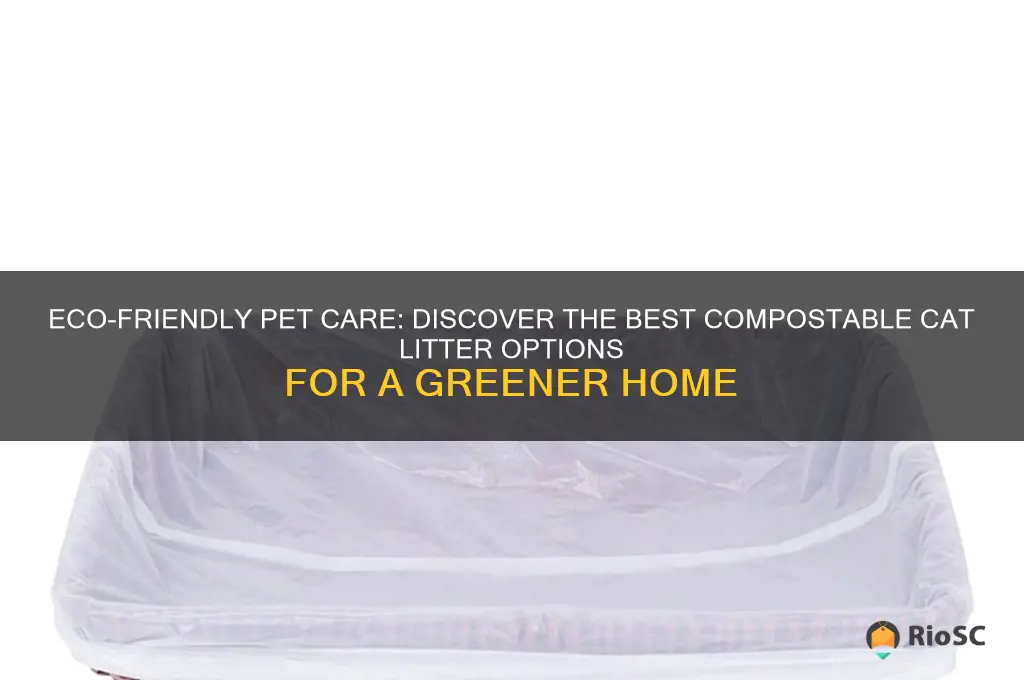 compostable cat litter best