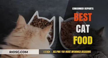 Top Picks for Your Feline Friend: Consumer Reports' Best Cat Food Recommendations