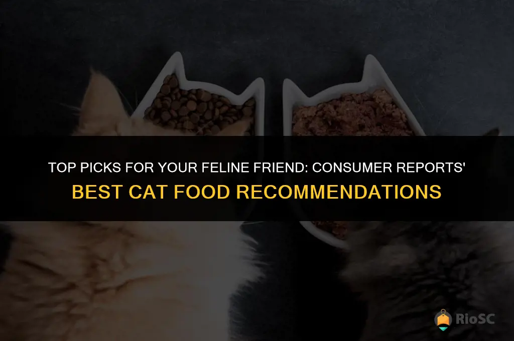 consumer reports best cat food