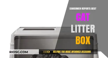 Top-Rated Cat Litter Boxes According to Consumer Reports: Find the Perfect Match for Your Feline Friend