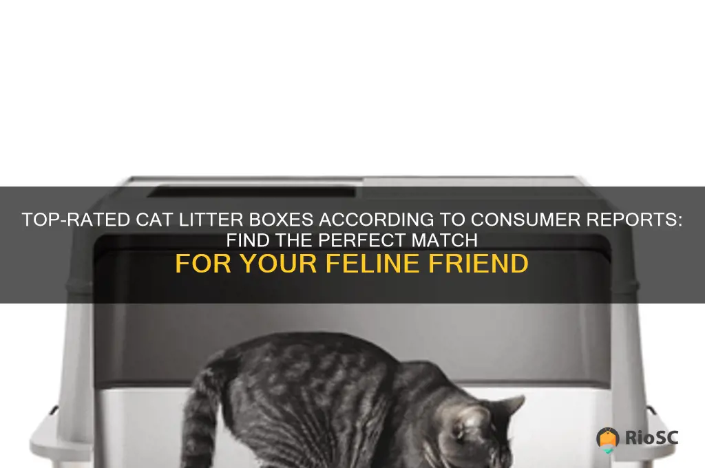 consumer reports best cat litter box