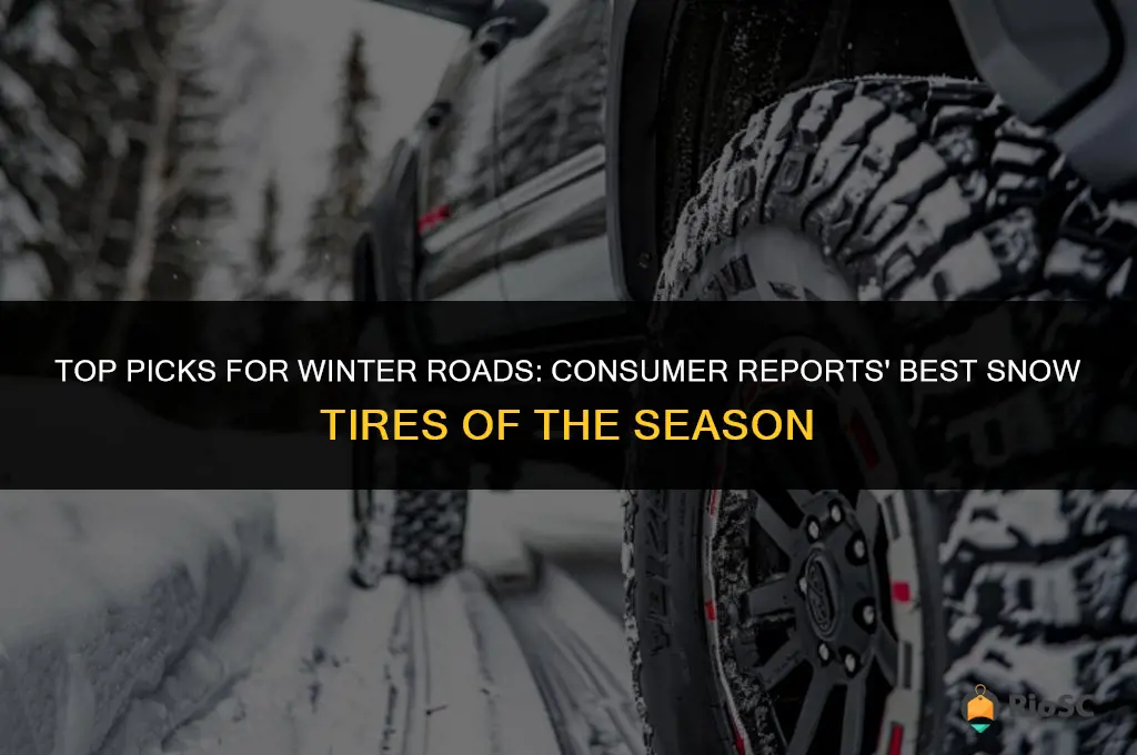consumer reports best snow tires