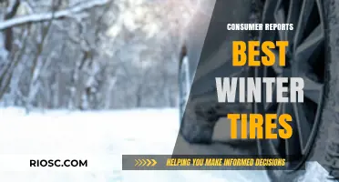 Top Winter Tire Picks: Consumer Reports' Recommendations for Safe and Smooth Driving