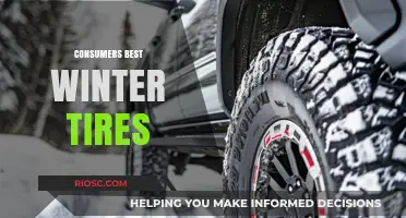Top Winter Tire Picks for Safe and Smooth Driving