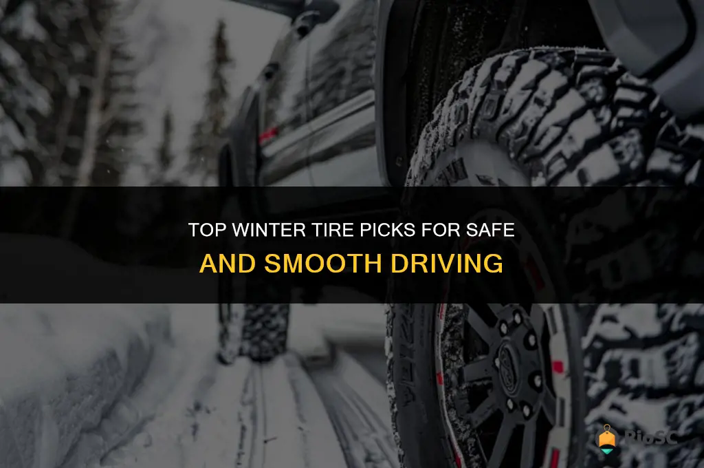 consumers best winter tires