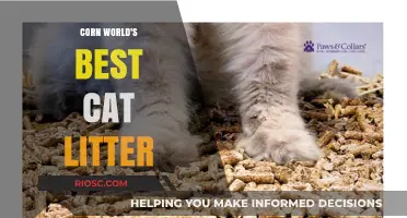 Corn World's Best Cat Litter: Revolutionizing Pet Care with Eco-Friendly Innovation