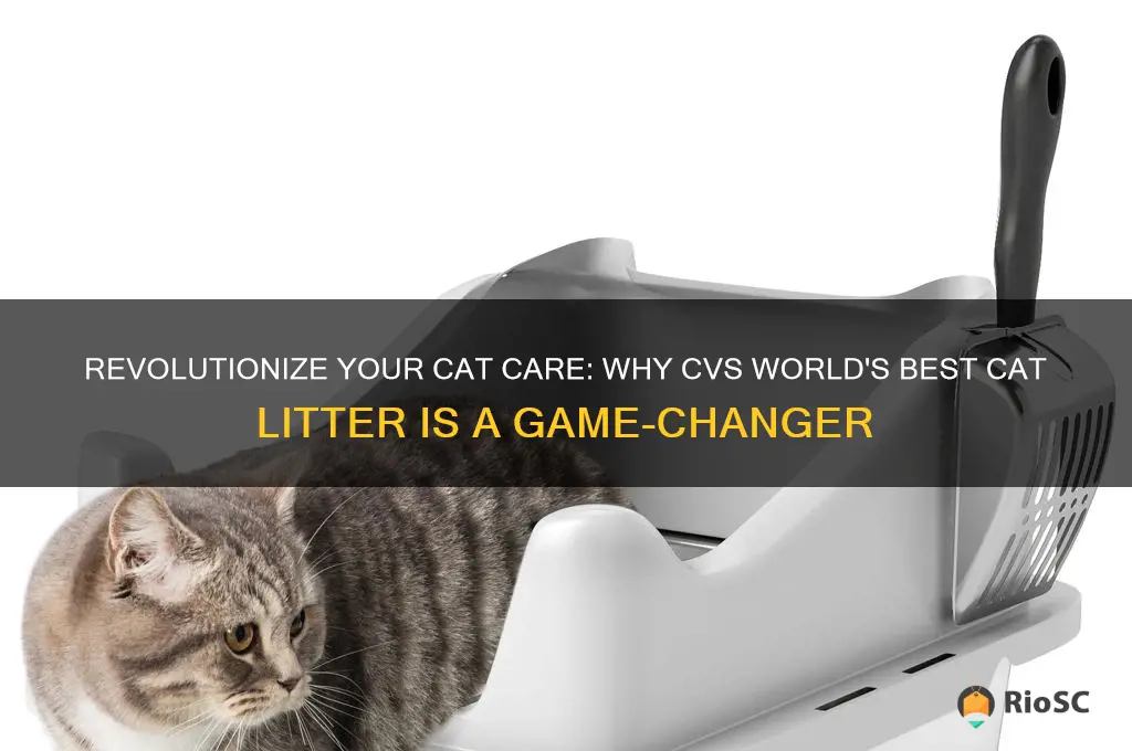 cvs worlds best cat litter
