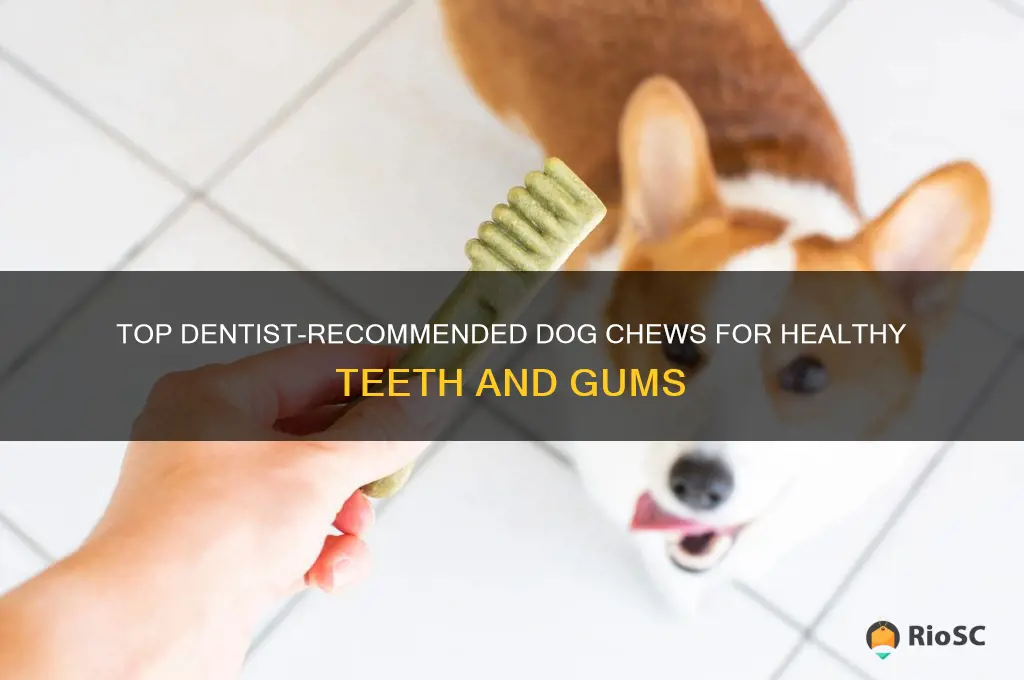 dentist