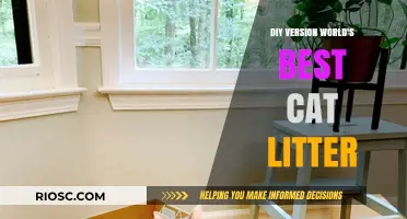 Craft Your Own World's Best Cat Litter: A DIY Guide for Happy Cats and Clean Homes